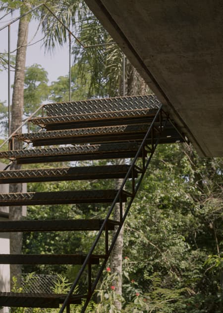 A Forest in the House